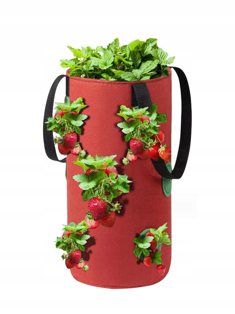 Doniczka WISZĄCA Worek POMIDORY Koktajlowe TRUSKAWKI POZIOMKI KIESZENIE 35 - obrazek 4