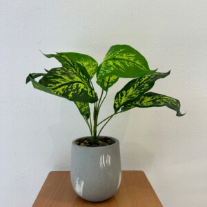 SZTUCZNA ROŚLINA KWIAT W DONICZCE DO DOMU BIURA REALISTYCZNA DIEFFENBACHIA - miniatura 8