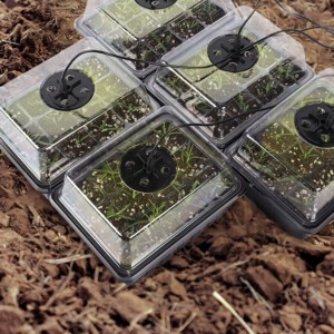 MINI SZKLARNIA LED 5x Lampek 5x Szklarni USB Regulowana wentylacja ROZSADA - miniatura 8