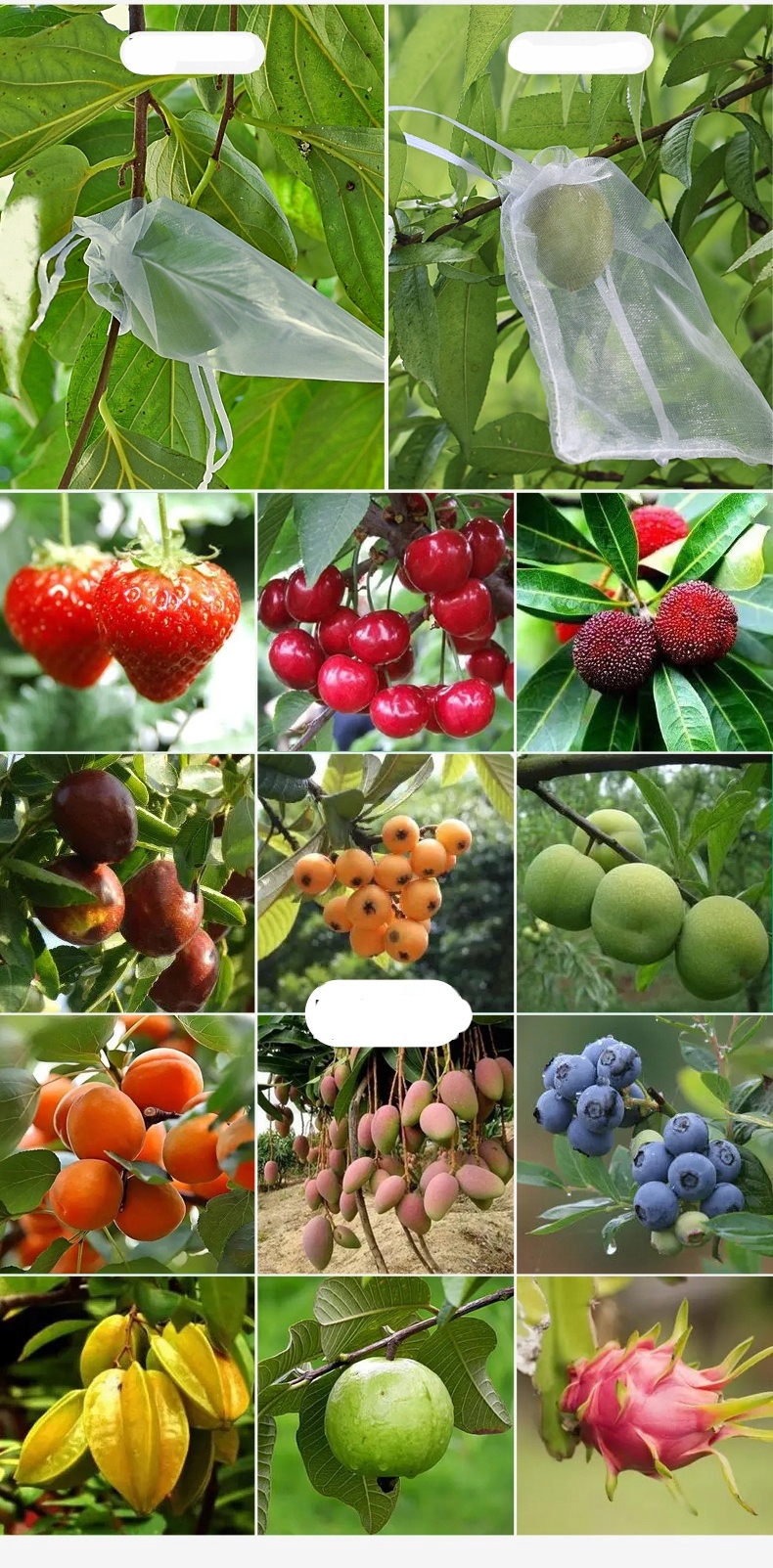 WORECZKI Osłony NA OWOCE WARZYWA SZKODNIKI 20szt - obrazek 6