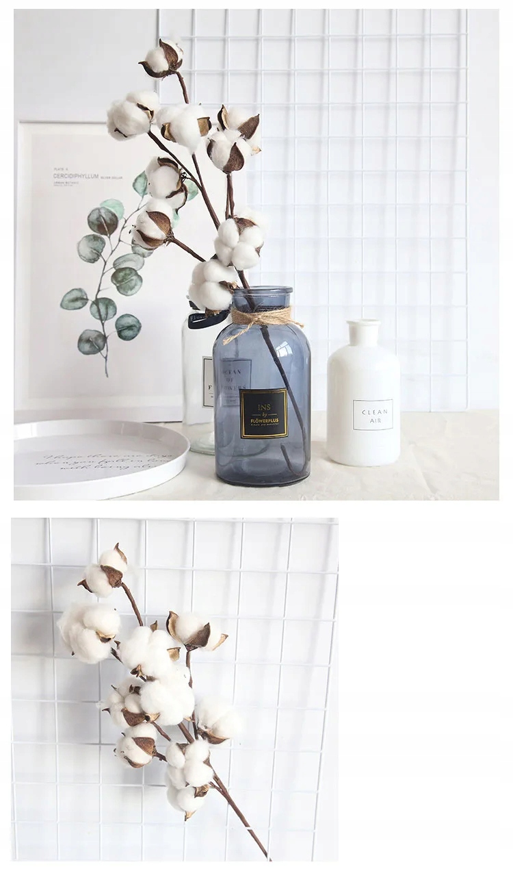 NATURALNA ROŚLINA BAWEŁNA GAŁĄZKA DEKORACYJNA OZDOBA RESTAURACJA SALON 53cm - zdjęcie 6