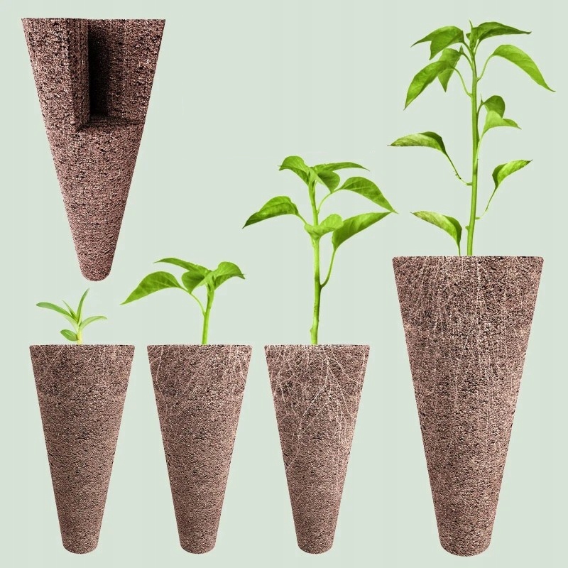 ROZSADA ZESTAW STARTOWY INSPEKT SADZONKI 120 WKŁADÓW PODŁOŻE HYDROPONIKA - obrazek 12