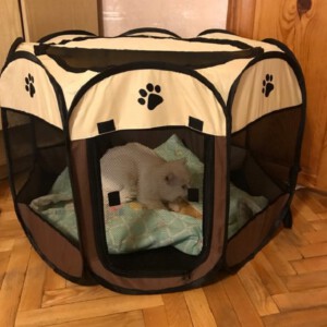 KOJEC LEGOWISKO KENNEL DLA PSA KOTA 112cm roz. XL - miniatura 13