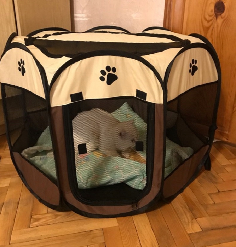 KOJEC LEGOWISKO KENNEL DLA PSA KOTA 112cm roz. XL - zdjęcie 13