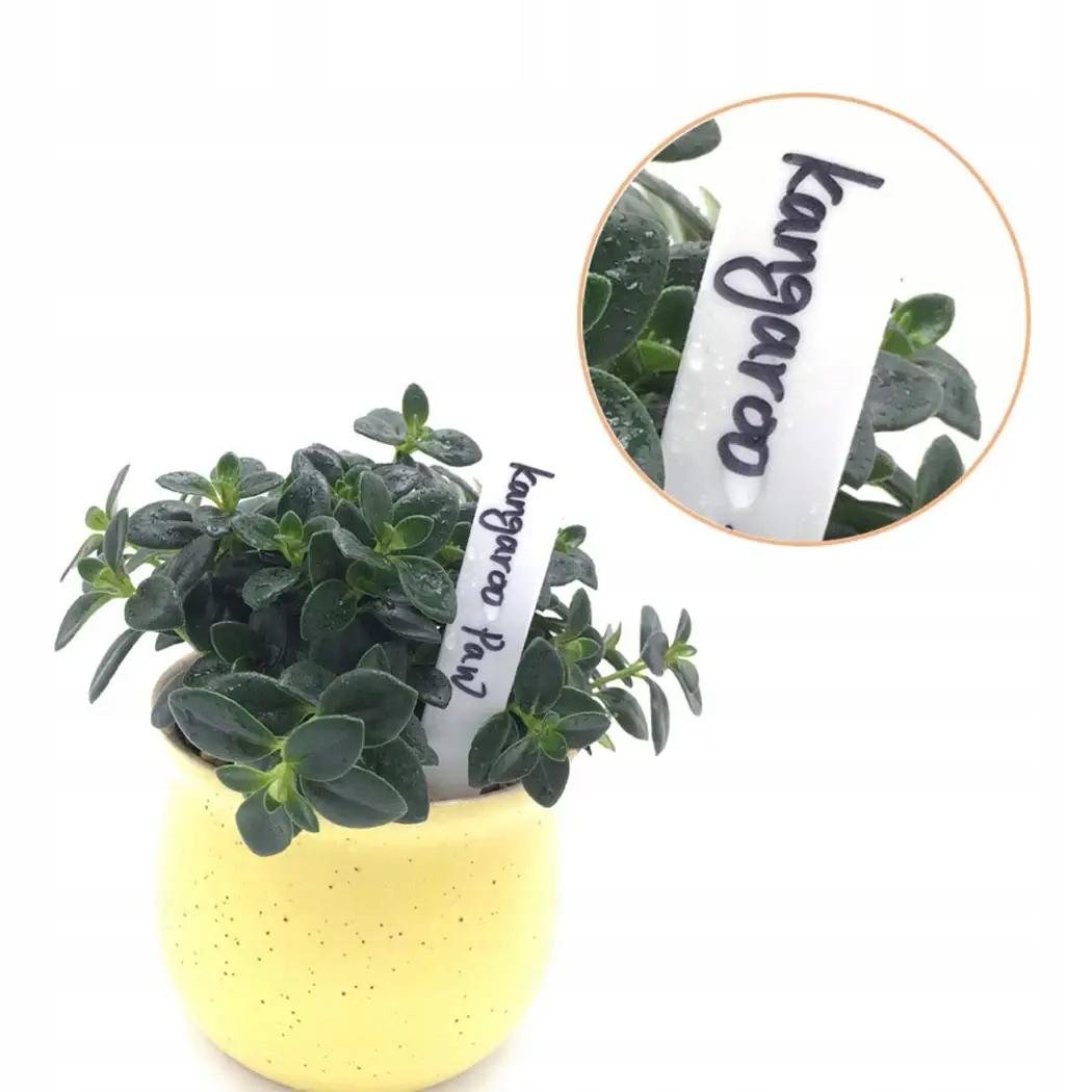 Znaczniki do ROŚLIN TABLICZKI Etykiety WIELOKROTNEGO UŻYTKU Ogrodowe 100szt - zdjęcie 4