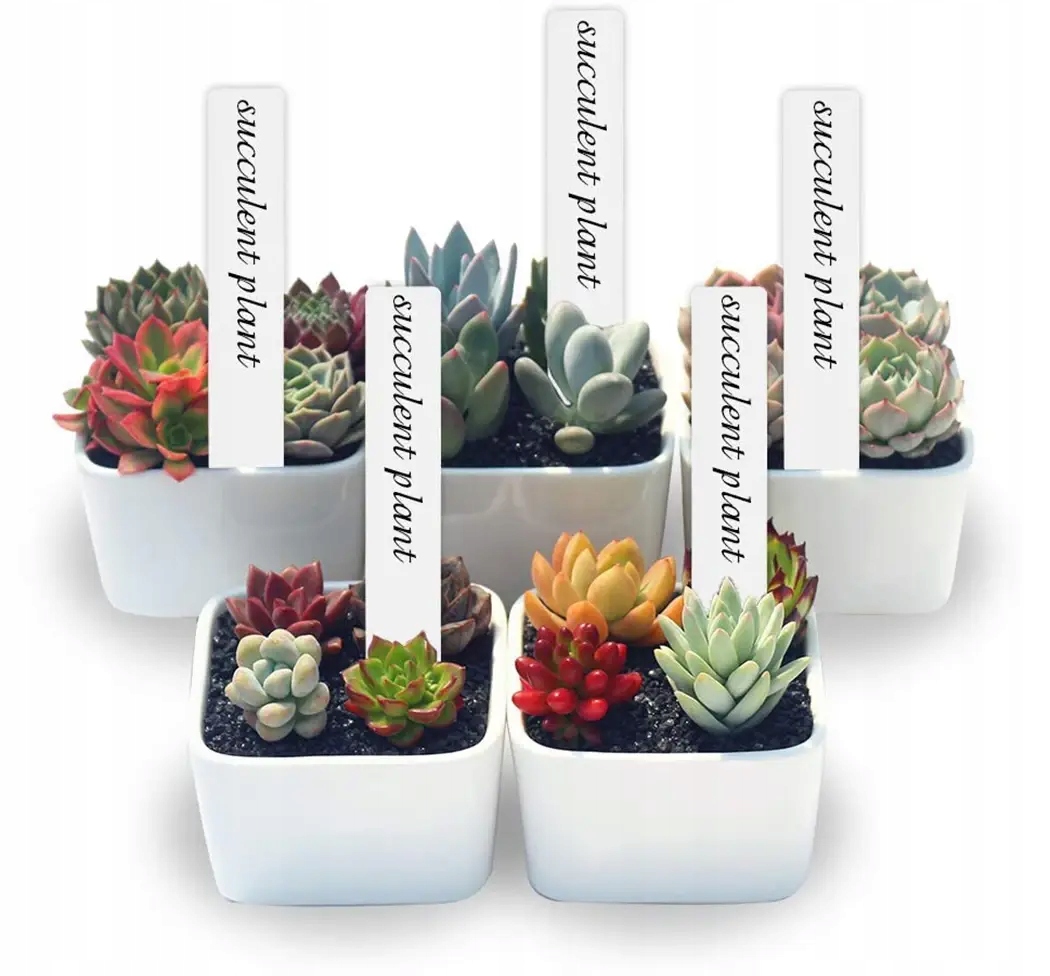 Znaczniki do ROŚLIN TABLICZKI Etykiety WIELOKROTNEGO UŻYTKU Ogrodowe 100szt - zdjęcie 5