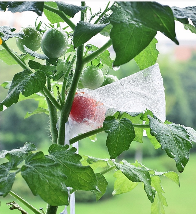 WORECZKI Osłony NA OWOCE WARZYWA SZKODNIKI 20szt - obrazek 7