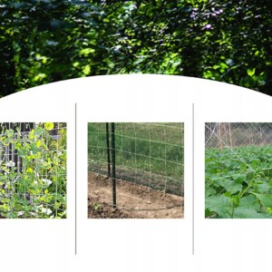 Siatka OGRODOWA OGÓRKI FASOLA Pnących WINOGRON 167 5m ROŚLIN PODPORA Trejaż - miniatura 3
