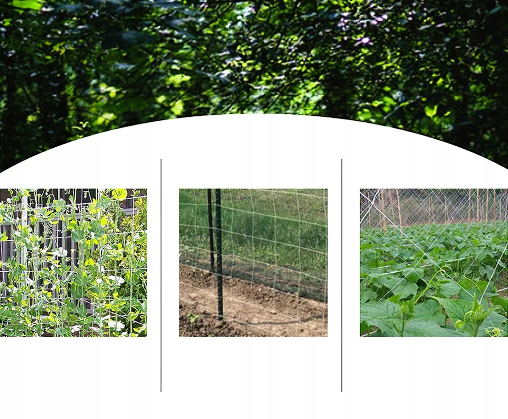 Siatka OGRODOWA OGÓRKI FASOLA Pnących WINOGRON 167 5m ROŚLIN PODPORA Trejaż - obrazek 3