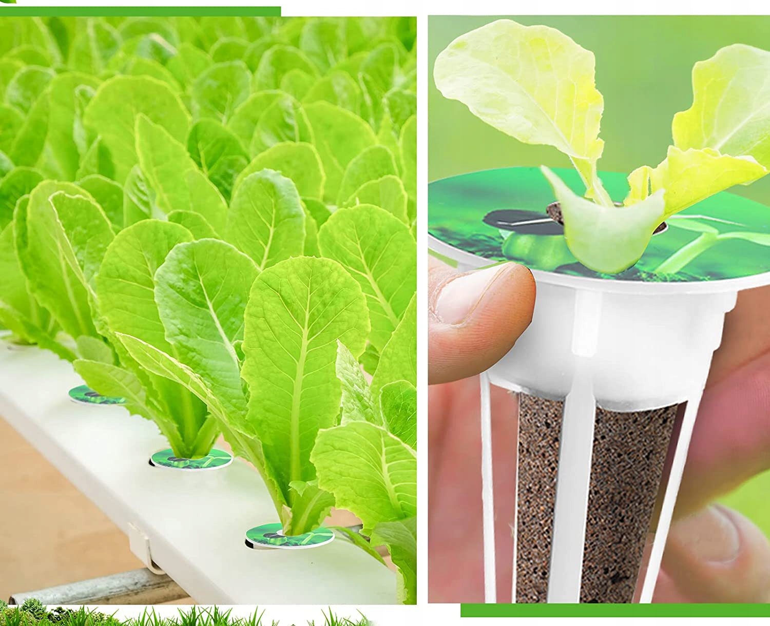 ROZSADA ZESTAW STARTOWY INSPEKT SADZONKI 120 WKŁADÓW PODŁOŻE HYDROPONIKA - obrazek 8