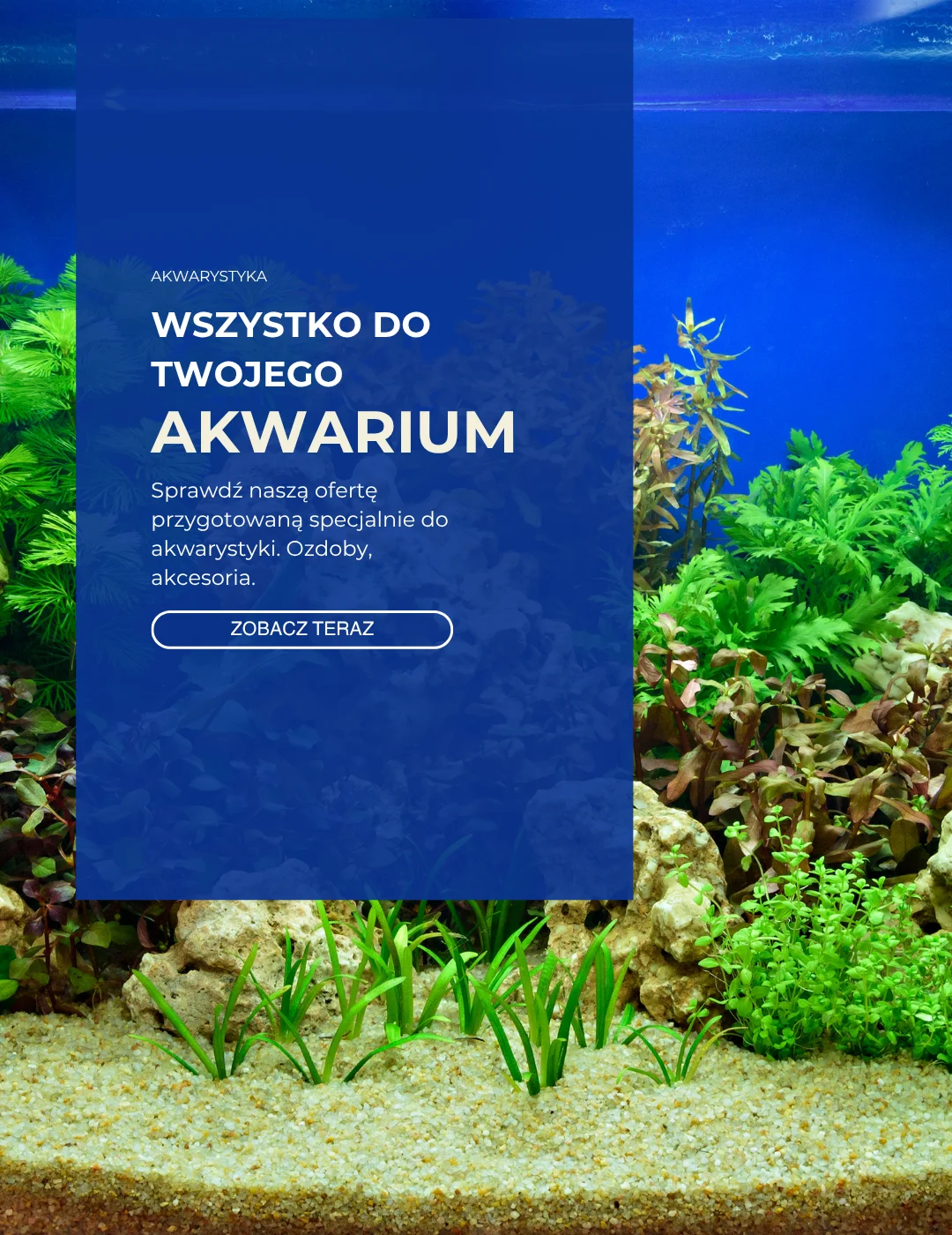 bannerakwarystyka