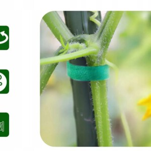 Rzep do SPINANIA ROŚLIN TAŚMA 3m x 10mm DO POMIDORÓW OGÓRKÓW WARZYW OGRODU - miniatura 2