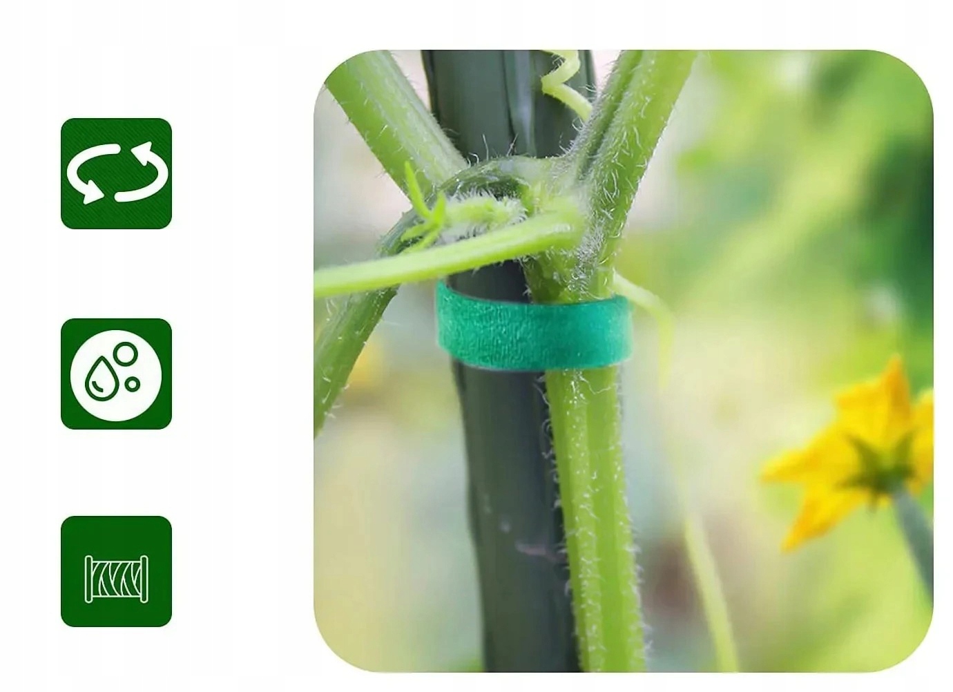 Rzep do SPINANIA ROŚLIN TAŚMA 3m x 10mm DO POMIDORÓW OGÓRKÓW WARZYW OGRODU - obrazek 2