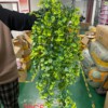 SZTUCZNA Roślina EUKALIPTUSOWA Wisząca do 85 cm DUŻA Ozdoba REALISTYCZNA XL - miniatura 10