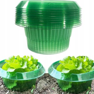 OSŁONA DO WARZYW NA ŚLIMAKI SZKODNIKI SAŁATY Sadzonek SKUTECZNA EKO 10sztuk - miniatura 2