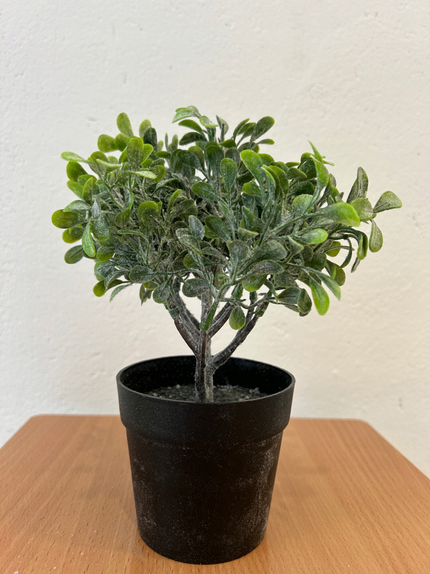 SZTUCZNA Roślina W DONICZCE REALISTYCZNA 20cm ŁADNA KRZACZEK do DOMU BIURA - obrazek 2