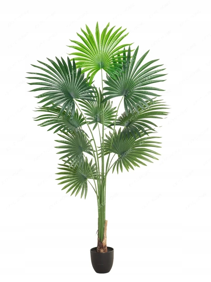 SZTUCZNA Roślina PALMA Wachlarzowa XXL W DONICZCE REALISTYCZNA 160cm - obrazek 2