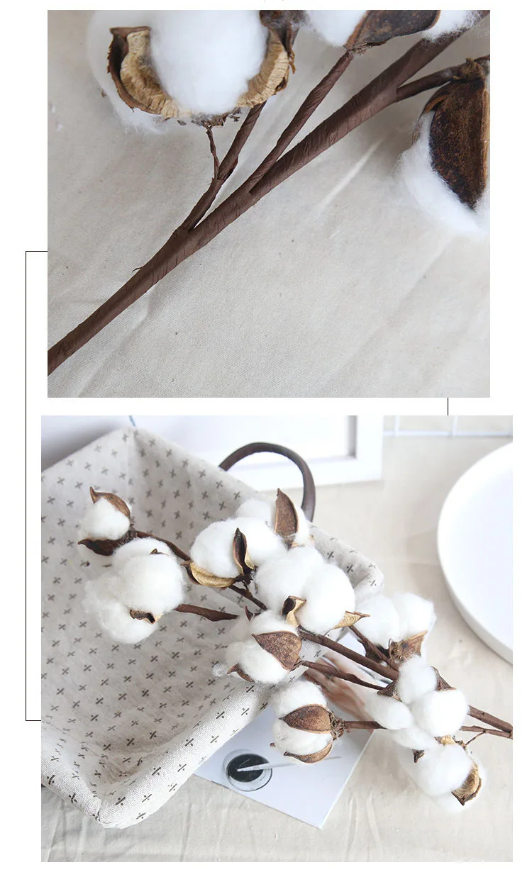 NATURALNA ROŚLINA BAWEŁNA GAŁĄZKA DEKORACYJNA OZDOBA RESTAURACJA SALON 53cm - zdjęcie 8