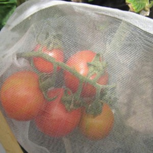 WORECZKI Osłony NA OWOCE WARZYWA SZKODNIKI 50szt - miniatura 15