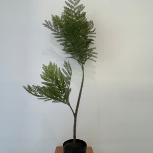 SZTUCZNA Roślina JAKARANDA MIMOZA W DONICZCE REALISTYCZNA 110cm DOM BIURO - miniatura 7