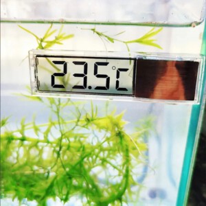 TERMOMETR DO AKWARIUM AKWARIOWY BATERIA ZEWNĘTRZNY DO TERRARIUM BIAŁY - miniatura 6