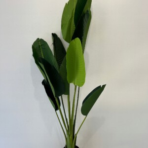 SZTUCZNA Roślina PALMA BANANOWIEC Egzotyczny W DONICZCE REALISTYCZNY 150cm - miniatura 3