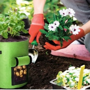 Doniczka TORBA Worek ZIEMNIAKI MARCHEWKI Warzywa KIESZEŃ do UPRAWY XXL 38L - miniatura 6