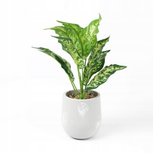 SZTUCZNA ROŚLINA KWIAT W DONICZCE DO DOMU BIURA REALISTYCZNA DIEFFENBACHIA - miniatura 5