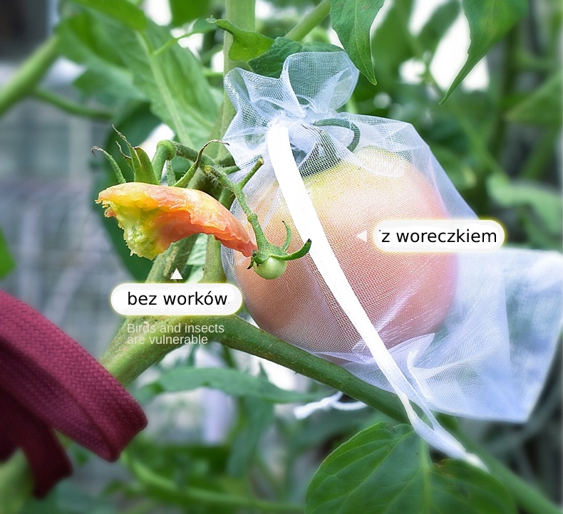 WORECZKI Osłony NA OWOCE WARZYWA SZKODNIKI 20szt - obrazek 14