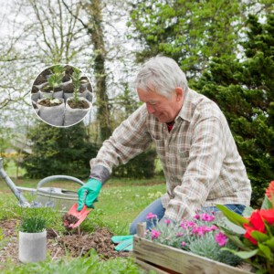 WORECZKI do SADZENIA ROŚLIN SADZONEK ROZSADA Biodegradowalne 100szt 8x10cm - miniatura 4