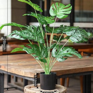 SZTUCZNA Roślina MONSTERA DELICIOSA 50-75 cm DUŻA Ozdoba REALISTYCZNA XL - miniatura 5
