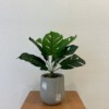 SZTUCZNA Roślina W DONICZCE REALISTYCZNA 33cm MONSTERA DELICIOSA Piękna - miniatura 10