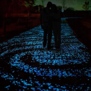 KAMIENIE ŚWIECĄCE Kamyki Fluorescencyjne NIEBIESKIE ŚWIECĄ CIEMNOŚCI 50szt - miniatura 6
