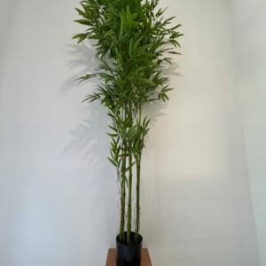 SZTUCZNA Roślina BAMBUS XXL W DONICZCE REALISTYCZNY 180cm do DOMU BIURA - miniatura 4