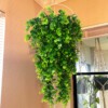 SZTUCZNA Roślina EUKALIPTUSOWA Wisząca do 85 cm DUŻA Ozdoba REALISTYCZNA XL - miniatura 3
