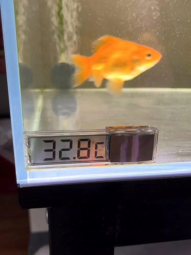 TERMOMETR DO AKWARIUM AKWARIOWY BATERIA ZEWNĘTRZNY DO TERRARIUM BIAŁY - zdjęcie 11