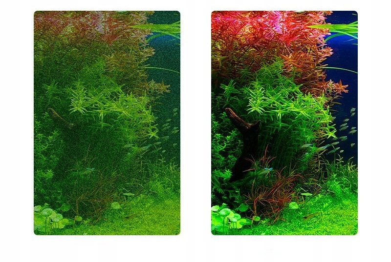 SKROBAK CZYŚCIK Do CZYSZCZENIA Akwarium SZYB 33cm - zdjęcie 3
