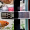TERMOMETR DO AKWARIUM AKWARIOWY BATERIA ZEWNĘTRZNY DO TERRARIUM BIAŁY - miniatura 12
