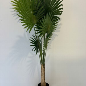 SZTUCZNA Roślina PALMA Wachlarzowa XXL W DONICZCE REALISTYCZNA 160cm - miniatura 7