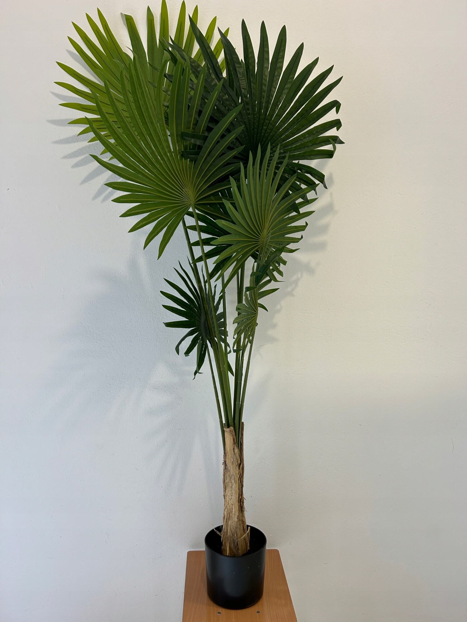 SZTUCZNA Roślina PALMA Wachlarzowa XXL W DONICZCE REALISTYCZNA 160cm - obrazek 7