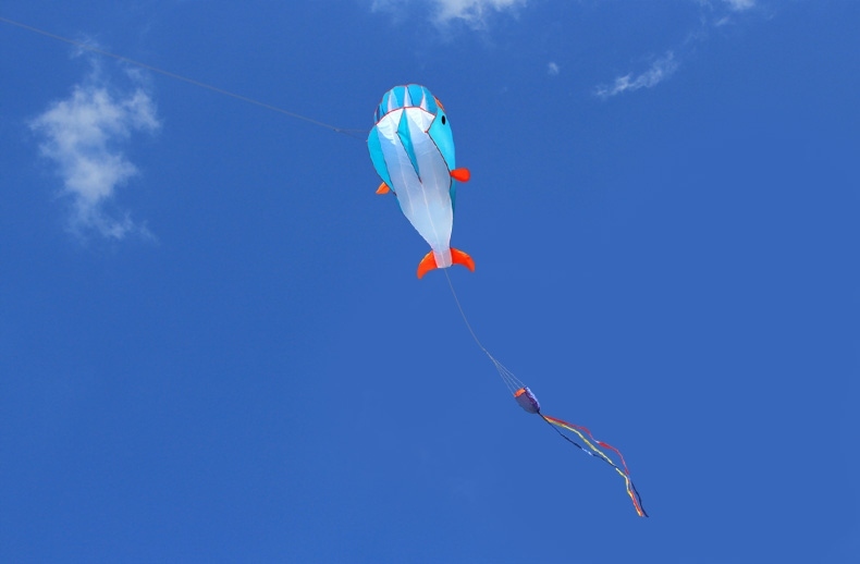 DUŻY LATAWIEC WIELORYB NIEBIESKI 210cm PLAŻOWY PREZENT DLA DZIECI ZABAWKA - obrazek 9