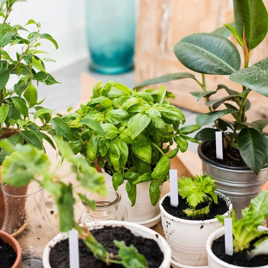 Znaczniki do ROŚLIN TABLICZKI Etykiety WIELOKROTNEGO UŻYTKU Ogrodowe 100szt - zdjęcie 6