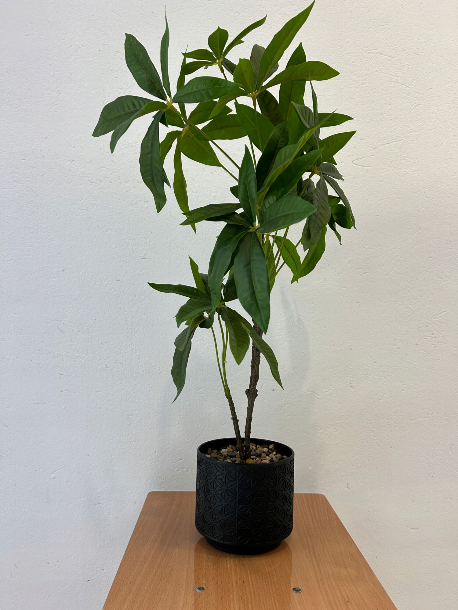 SZTUCZNA Roślina PACHIRA W DONICZCE REALISTYCZNA 60cm KRZACZEK PIĘKNA - zdjęcie 5