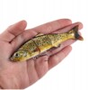 Wobler przynęta wędkarska szczupak sandacz łamany skuteczny 17g 11.5cm - miniatura 2