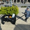 Wózek terenowy plażowy turystyczny zakupy transportowy stoł 200kg koła 10cm - miniatura 15