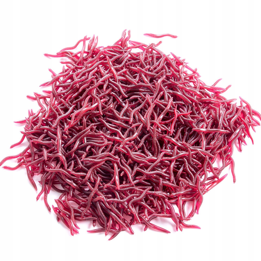 Sztuczne robaki czerwone dżdżownica dendrobena gnojak rosówki 3.5cm 100x - zdjęcie 11