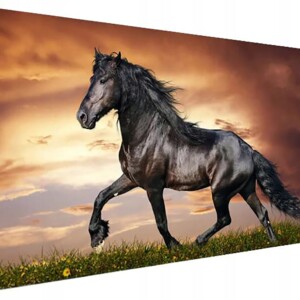 Haft diamentowy 5d zestaw obraz mozaika 50*100cm - miniatura 1