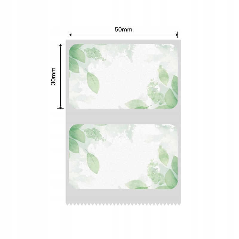 Niimbot etykiety naklejki 50*30mm liście 230szt do b21/b3s/b1 oryginalne - obrazek 2