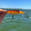 Popper flopper wobler sum szczupak sandacz 01 - miniatura 6