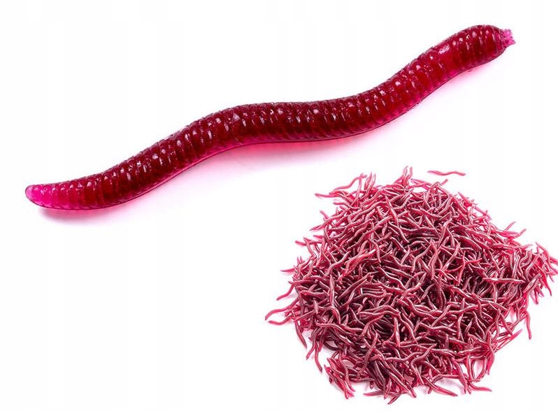 Sztuczne robaki czerwone dżdżownica dendrobena gnojak rosówki 3.5cm 100x - zdjęcie 7